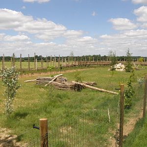 Cheetah exhibit in the African Savannah complexe