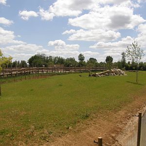 Cheetah exhibit in the African Savannah complexe