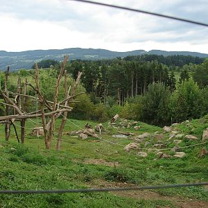 Gelada exhibit - Tierwelt Herberstein