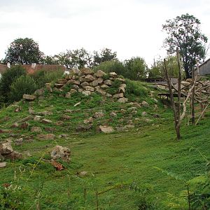 Gelada exhibit - Tierwelt Herberstein