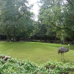 South american exhibit (anteaters, tapirs...)