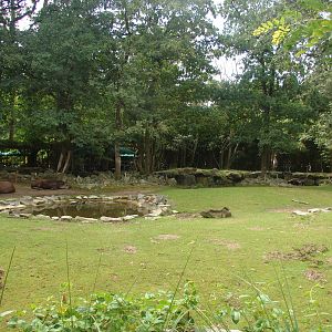 South american exhibit (anteaters, tapirs...)