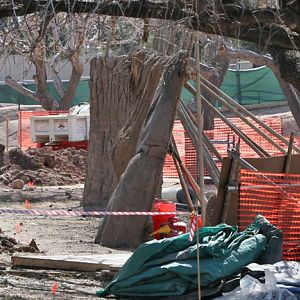 elephant construction - feb 2011