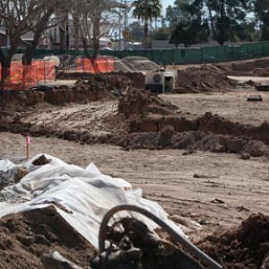 elephant construction - feb 2011