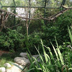 Cockatoo enclosure