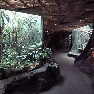 Tropical Rain Forest Building