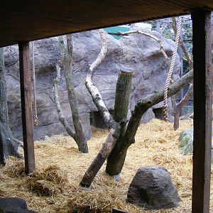 Fake rock work on gorilla enclosure at Chessington Zoo, 6 February 2011