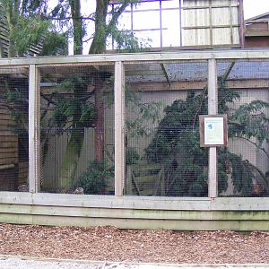 Red squirrel enclosure at Chessington Zoo, 6 February 2011