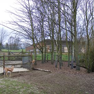 Part of Dorcas gazelle enclosure at Chessington Zoo, 6 February 2011