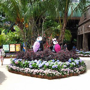 Chinese New Year Celebrations