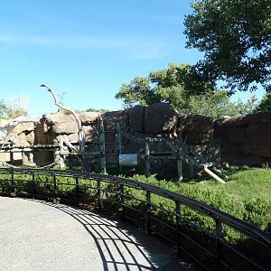 Gorilla Exhibit