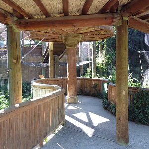 Siamang Exhibit - Viewing Area