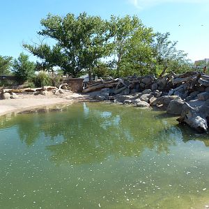Adventure Africa - Nile Hippo Exhibit