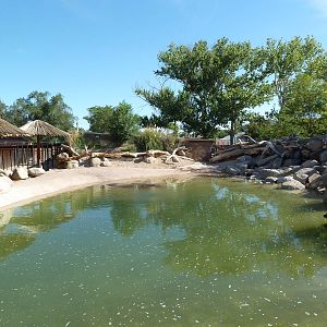 Adventure Africa - Nile Hippo Exhibit