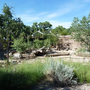 Adventure Africa - Warthog Exhibit