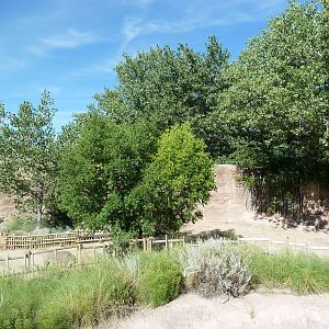 Adventure Africa - Warthog Exhibit
