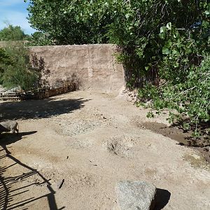 Adventure Africa - Warthog Exhibit