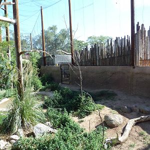 Mixed-Species Aviary (7 Species)