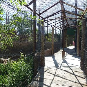 Mixed-Species Aviary (7 Species)