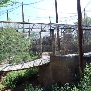 Mixed-Species Aviary (7 Species)