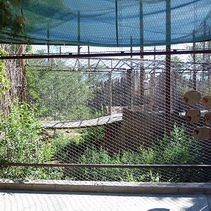 Mixed-Species Aviary (7 Species)