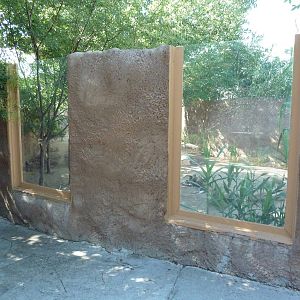 Adventure Africa - African Wild Dog Exhibit