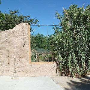 Adventure Africa - Spotted Hyena Exhibit