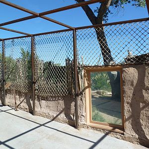 Adventure Africa - Cheetah Exhibit