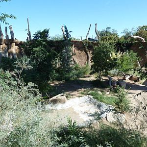 Adventure Africa - Cheetah Exhibit