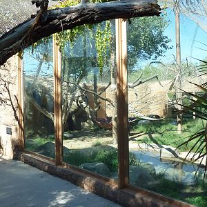 Adventure Africa - Chimpanzee Exhibit