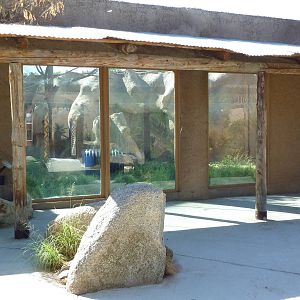 Adventure Africa - Chimpanzee Exhibit