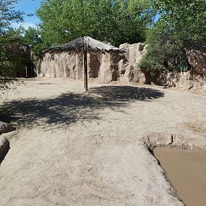Adventure Africa - White Rhino Exhibit