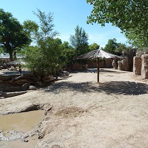 Adventure Africa - White Rhino Exhibit