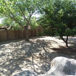 Adventure Africa - Zebra/Ostrich Exhibit