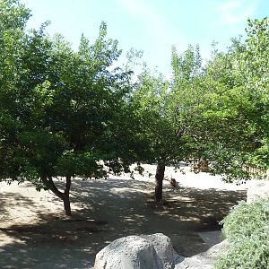 Adventure Africa - Zebra/Ostrich Exhibit