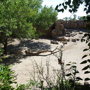 Zebra/Ostrich Exhibit