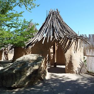 Reticulated Giraffe Exhibit - Viewing Area