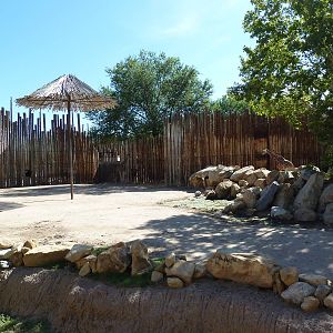 Reticulated Giraffe Exhibit