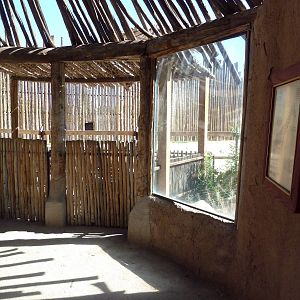 Reticulated Giraffe Exhibit - Viewing Area