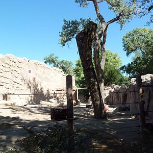 Multi-Acre Asian Elephant Exhibit