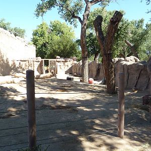 Multi-Acre Asian Elephant Exhibit