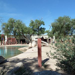 Multi-Acre Asian Elephant Exhibit
