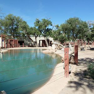 Multi-Acre Asian Elephant Exhibit