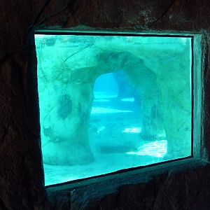 Gray Seal/Harbor Seal/California Sea Lion Exhibit