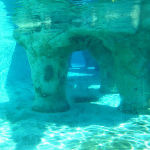Gray Seal/Harbor Seal/California Sea Lion Exhibit