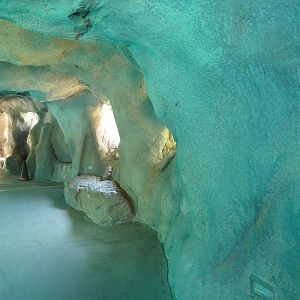 Gray Seal/Harbor Seal/California Sea Lion Exhibit