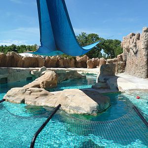 Gray Seal/Harbor Seal/California Sea Lion Exhibit