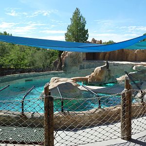 Gray Seal/Harbor Seal/California Sea Lion Exhibit