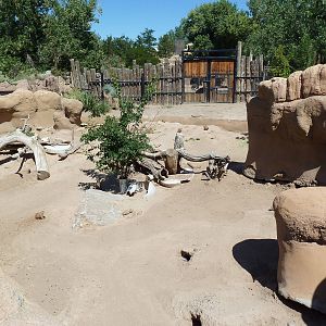 Prairie Dog Exhibit
