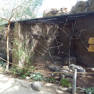 Aussie Bird Aviaries (3 Species)